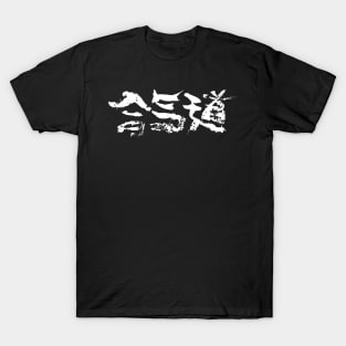 Extreme Vintage Aikido Kanji / Budokan T-Shirt